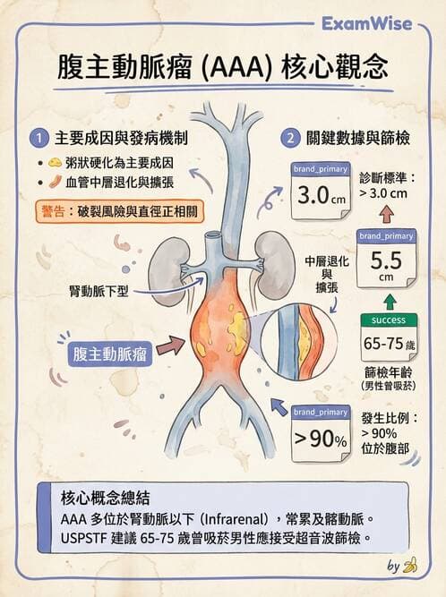 護理師 - 呼吸、循環系統 - AI 圖文解析預覽