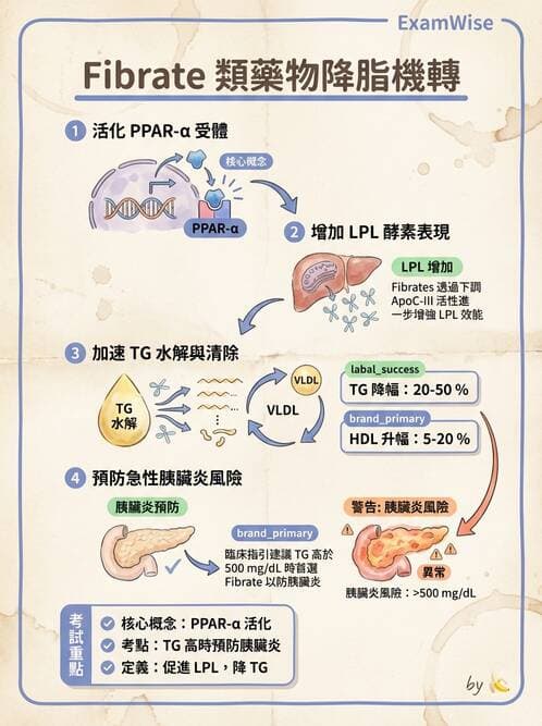 護理師 - 影響新陳代謝及內分泌功能藥物 - AI 圖文解析預覽