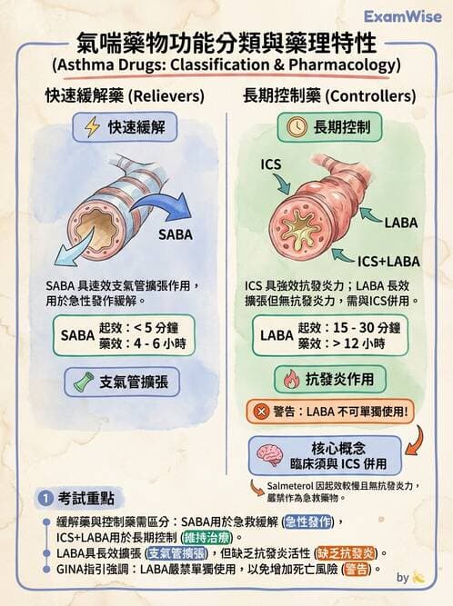 護理師 - 呼吸道及胃腸道作用藥物 - AI 圖文解析預覽
