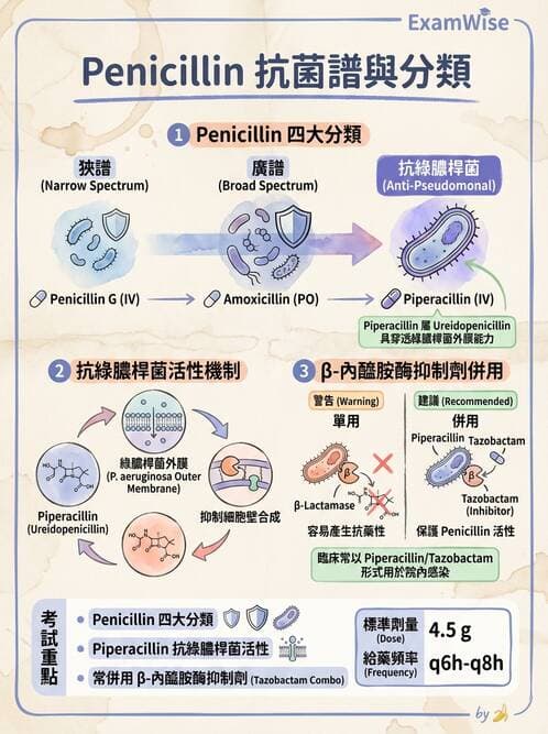 護理師 - 抗感染藥物 - AI 圖文解析預覽