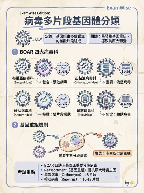 護理師 - RNA 病毒、新興病毒 - AI 圖文解析預覽