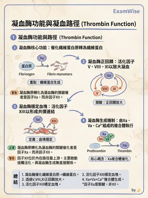 營養 - 血液與免疫 - AI 圖文解析預覽