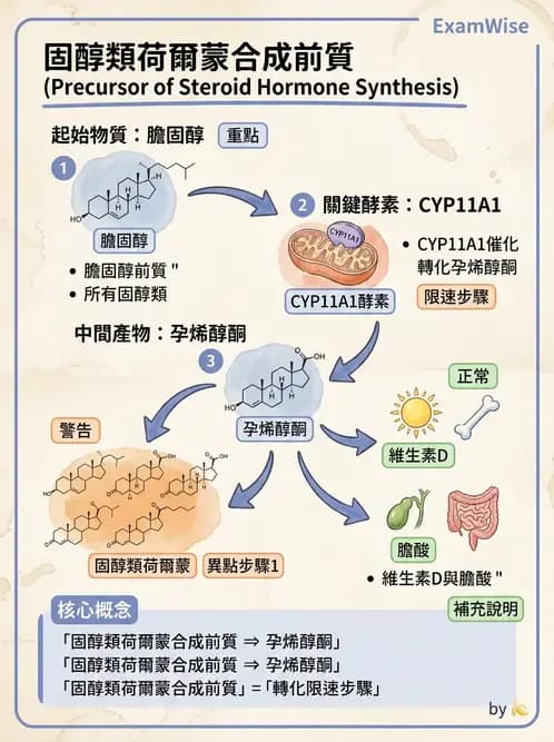 營養 - 脂質代謝 - AI 圖文解析預覽