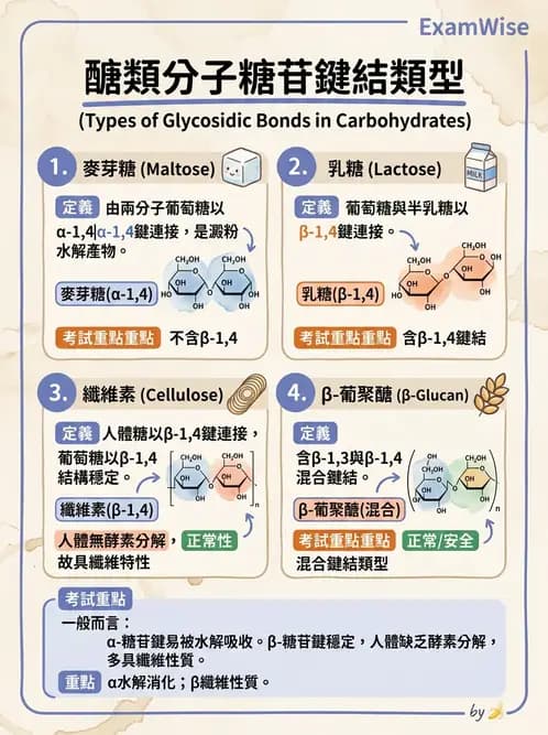 營養 - 醣類結構與膳食纖維 - AI 圖文解析預覽