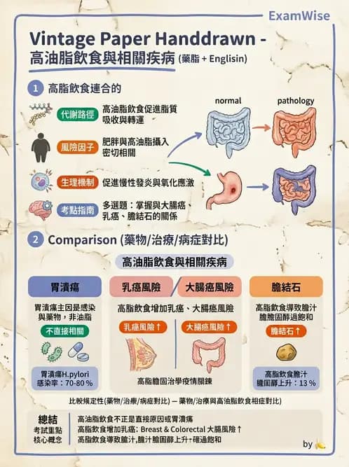 營養 - 當代營養學相關議題 - AI 圖文解析預覽
