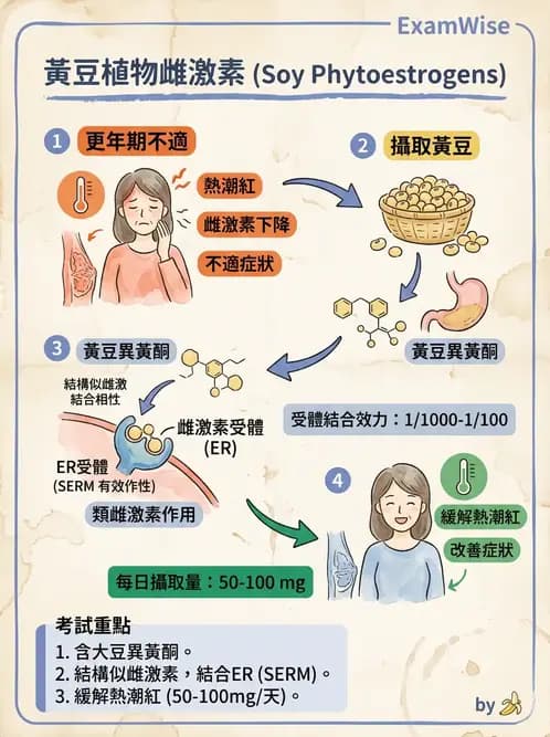 營養 - 當代營養學相關議題 - AI 圖文解析預覽