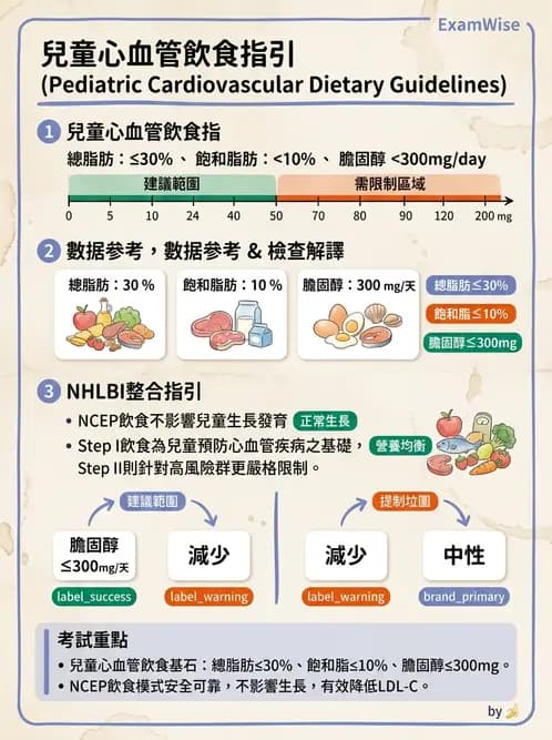 營養 - 兒童青少年與老年營養 - AI 圖文解析預覽