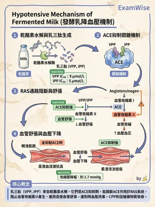 營養 - 當代營養學相關議題 - AI 圖文解析預覽