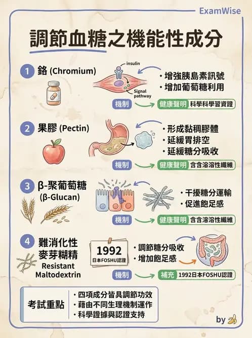 營養 - 當代營養學相關議題 - AI 圖文解析預覽