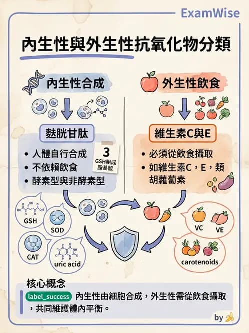 營養 - 營養評估與照護程序 - AI 圖文解析預覽