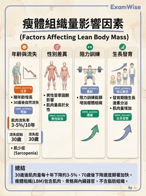 營養 - 體重管理與攝食異常 - AI 圖文解析預覽