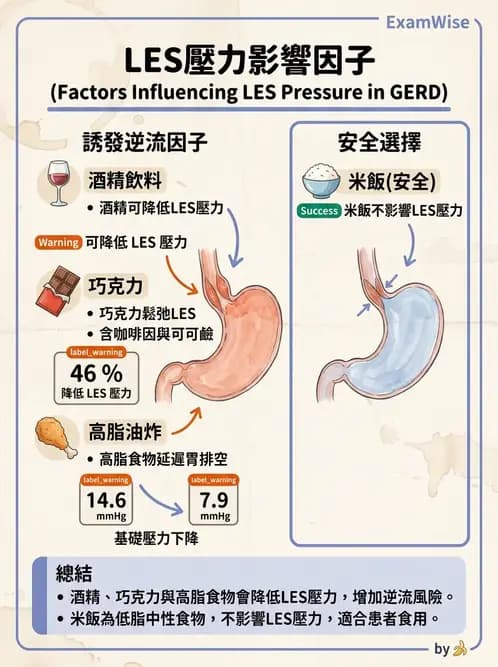 營養 - 腸胃道疾病 - AI 圖文解析預覽