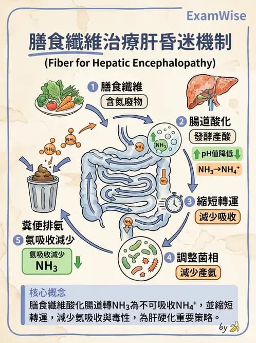 營養 - 肝膽疾病 - AI 圖文解析預覽