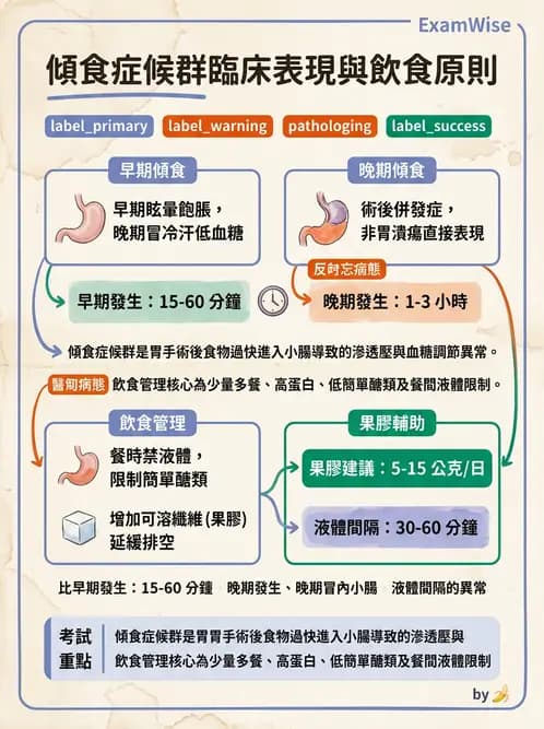 營養 - 腸胃道疾病 - AI 圖文解析預覽