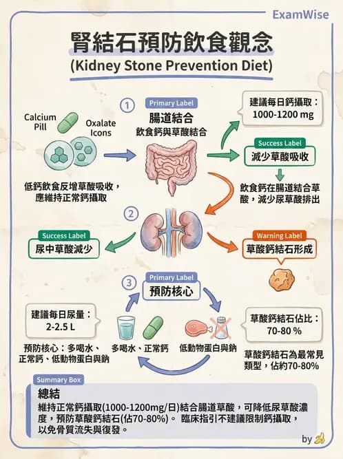 營養 - 腎臟疾病飲食治療 - AI 圖文解析預覽