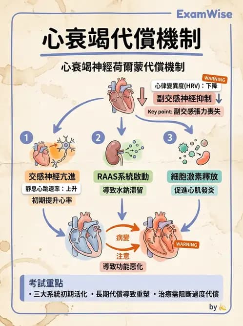 營養 - 心臟衰竭、移植與血脂管理 - AI 圖文解析預覽