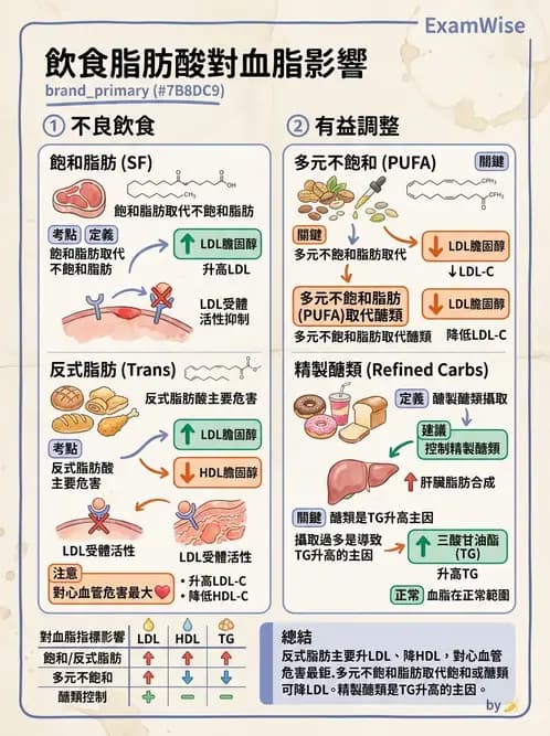 營養 - 心臟衰竭、移植與血脂管理 - AI 圖文解析預覽