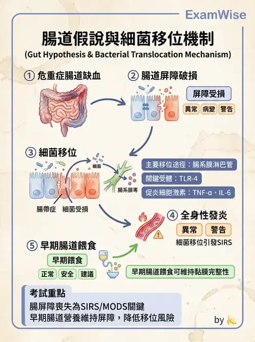 營養 - 重症一般營養照護 - AI 圖文解析預覽