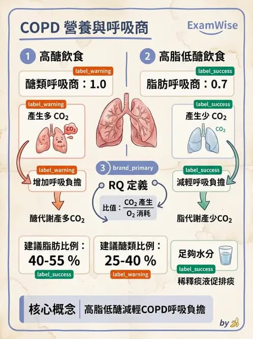 營養 - 呼吸系統疾病 - AI 圖文解析預覽