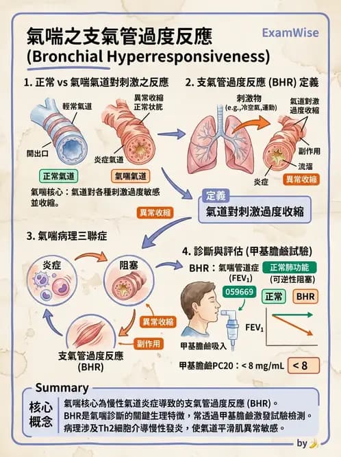 營養 - 呼吸系統疾病 - AI 圖文解析預覽