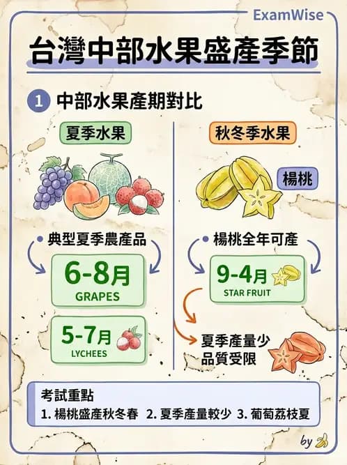 營養 - 動植物性食材製備原理 - AI 圖文解析預覽