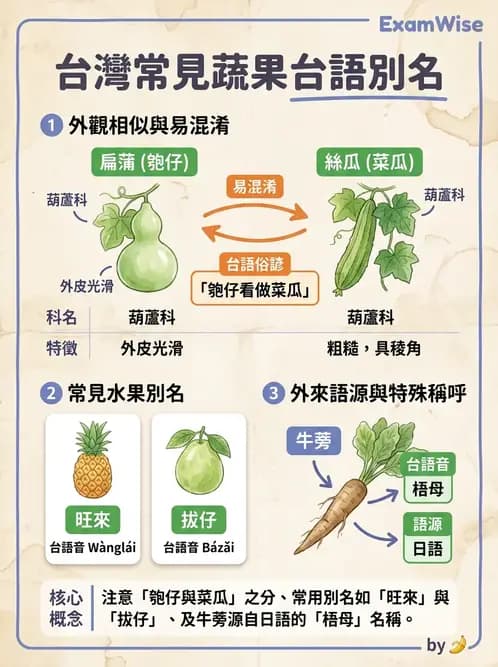 營養 - 動植物性食材製備原理 - AI 圖文解析預覽