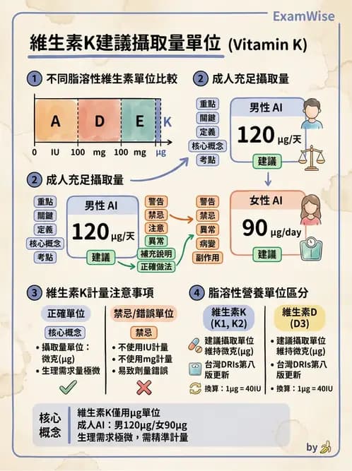 營養 - DRIs與飲食指南 - AI 圖文解析預覽