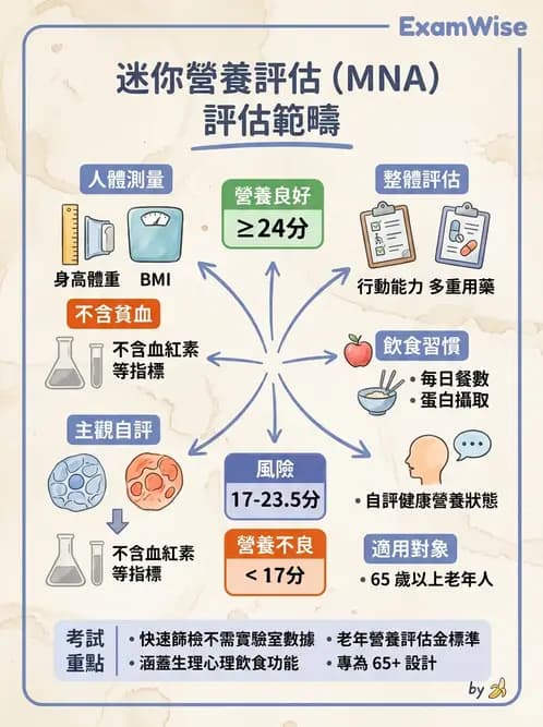 營養 - 營養篩檢與評估量表 - AI 圖文解析預覽