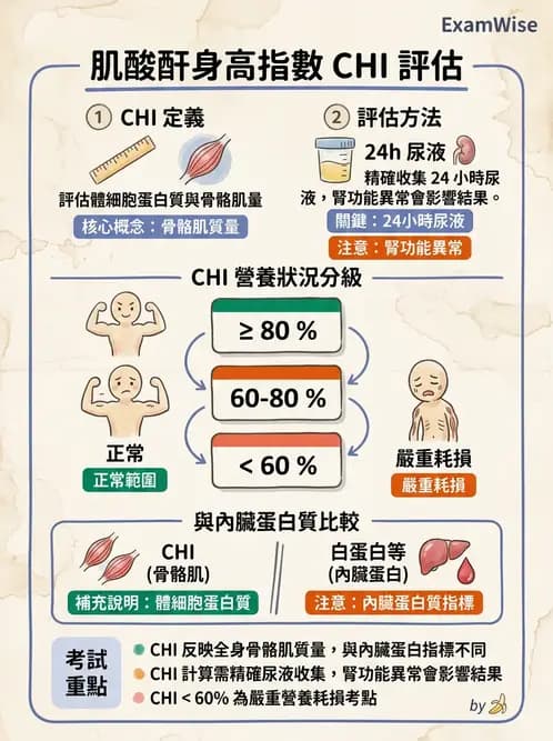 營養 - 生化指標與營養缺乏 - AI 圖文解析預覽