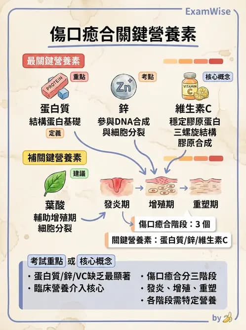 營養 - 生化指標與營養缺乏 - AI 圖文解析預覽
