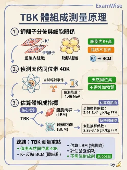 營養 - 體位評估 - AI 圖文解析預覽