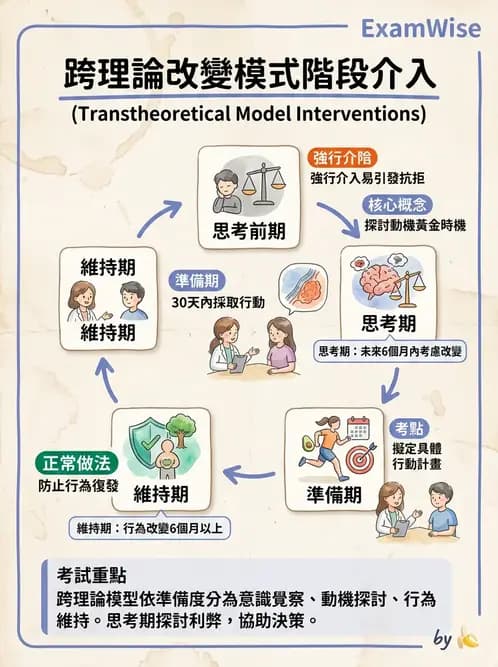 營養 - 健康行為改變理論 - AI 圖文解析預覽