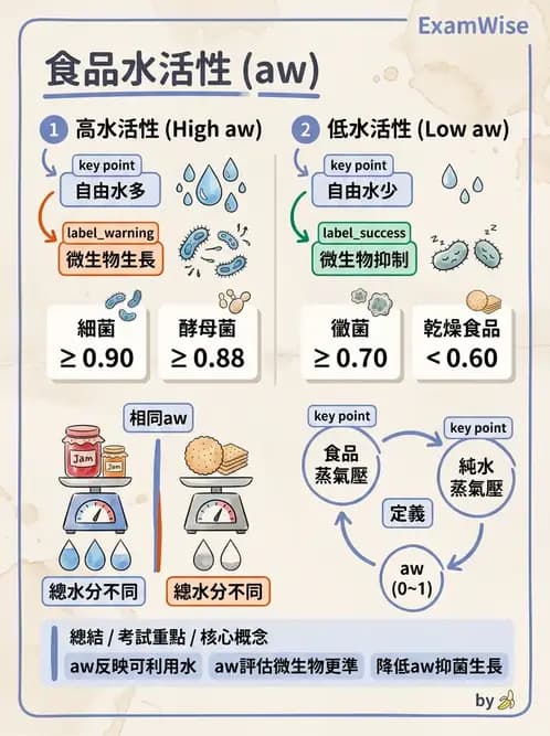營養 - 食品腐敗微生物學 - AI 圖文解析預覽