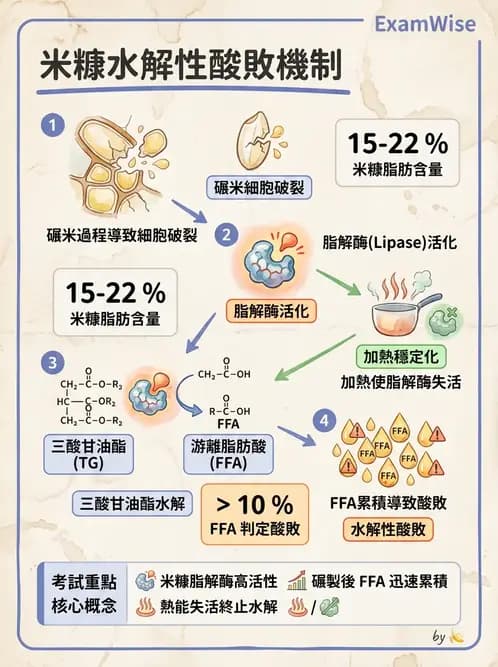 營養 - 食品腐敗微生物學 - AI 圖文解析預覽