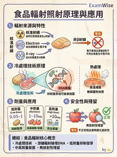 營養 - 食品腐敗微生物學 - AI 圖文解析預覽