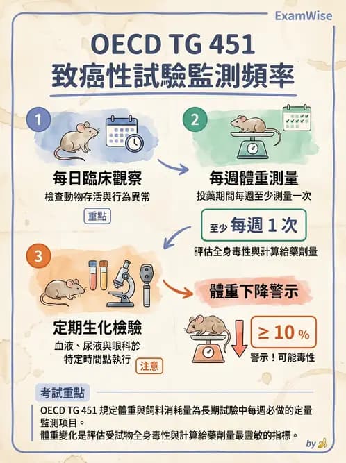 營養 - 食品安全性評估 - AI 圖文解析預覽