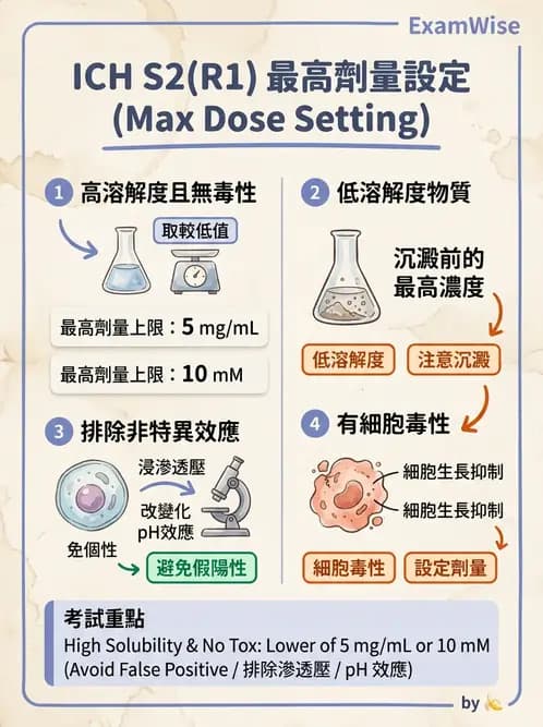 營養 - 食品安全性評估 - AI 圖文解析預覽