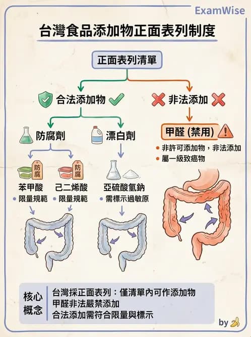 營養 - 食品添加物 - AI 圖文解析預覽