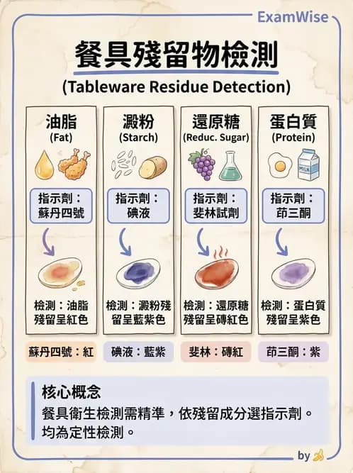 營養 - 餐飲人員衛生與操作規範 - AI 圖文解析預覽