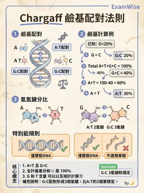 營養 - 核酸與基因表現 - AI 圖文解析預覽
