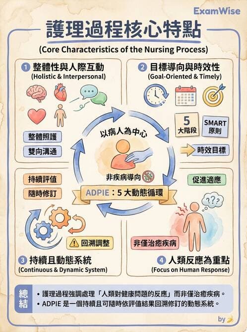 護理師 - 護理過程(評估至評值) - AI 圖文解析預覽