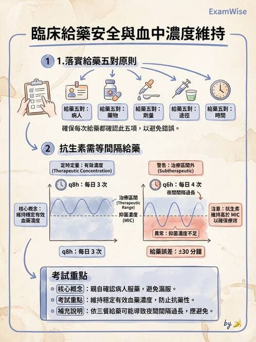 護理師 - 給藥原則與口服給藥 - AI 圖文解析預覽