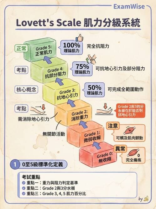 護理師 - 運動功能與傷口護理 - AI 圖文解析預覽
