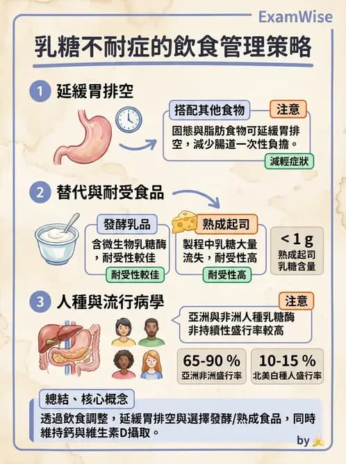 營養 - 醣類消化吸收與血糖調控 - AI 圖文解析預覽