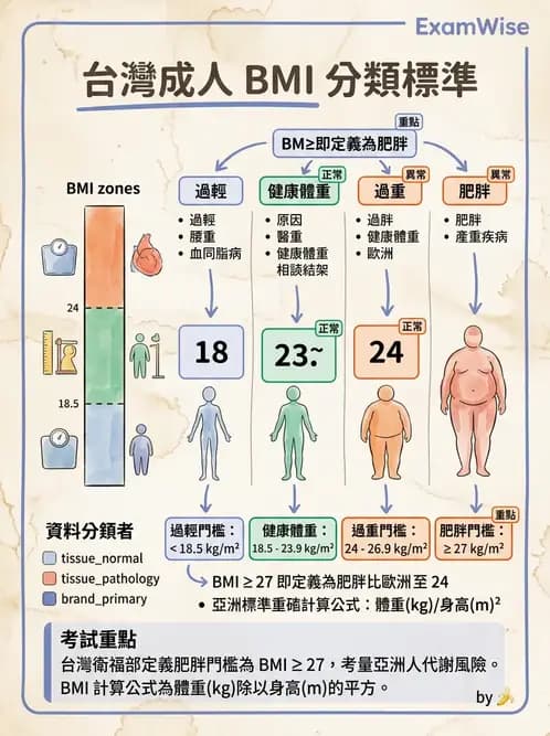 營養 - 能量平衡與食慾控制 - AI 圖文解析預覽
