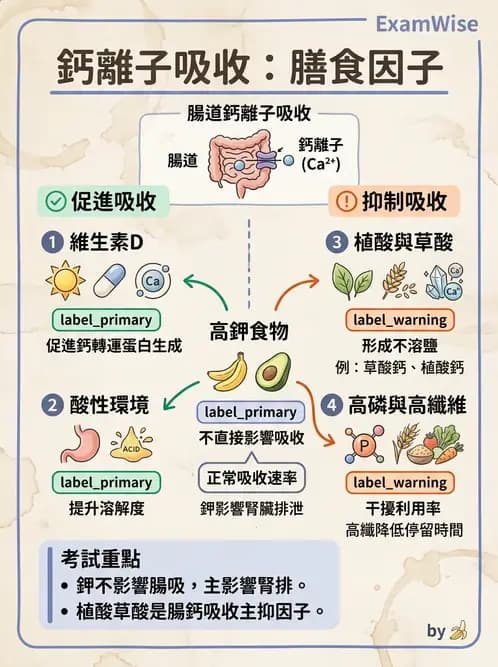 營養 - 巨量礦物質營養素 - AI 圖文解析預覽