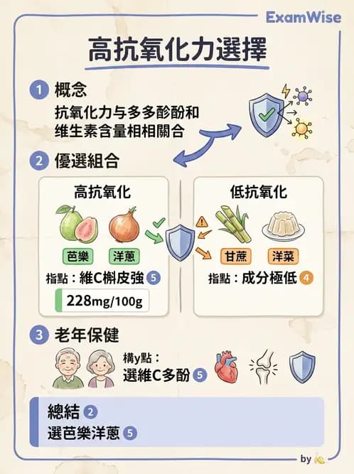 營養 - 兒童青少年與老年營養 - AI 圖文解析預覽