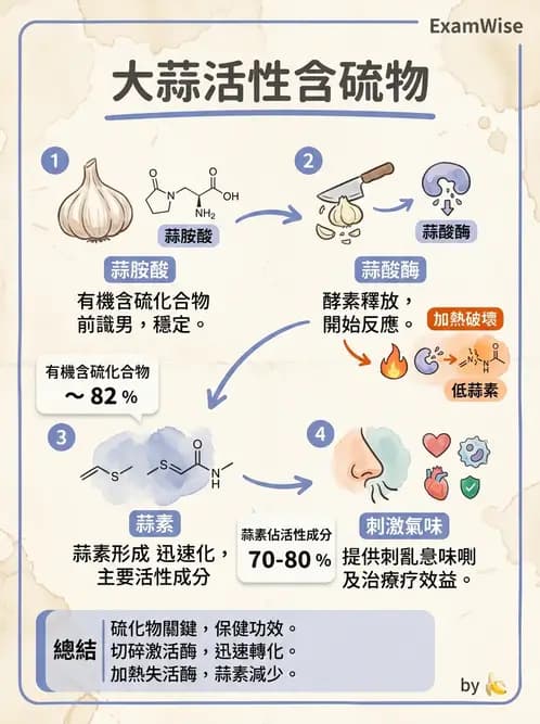 營養 - 當代營養學相關議題 - AI 圖文解析預覽