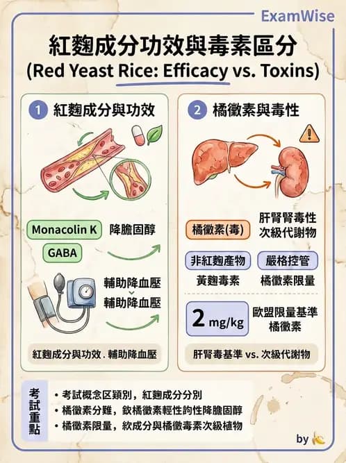 營養 - 當代營養學相關議題 - AI 圖文解析預覽