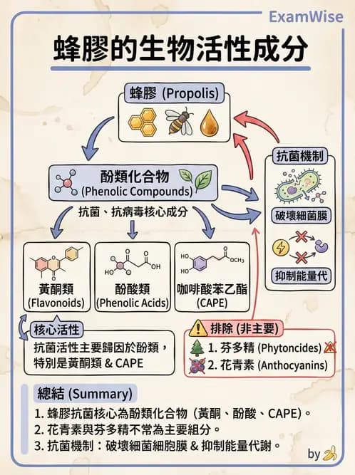 營養 - 當代營養學相關議題 - AI 圖文解析預覽
